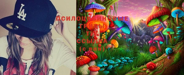 дмт Лабытнанги